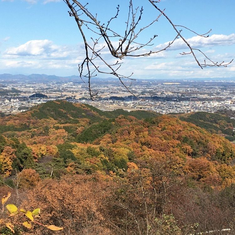 太平山神社