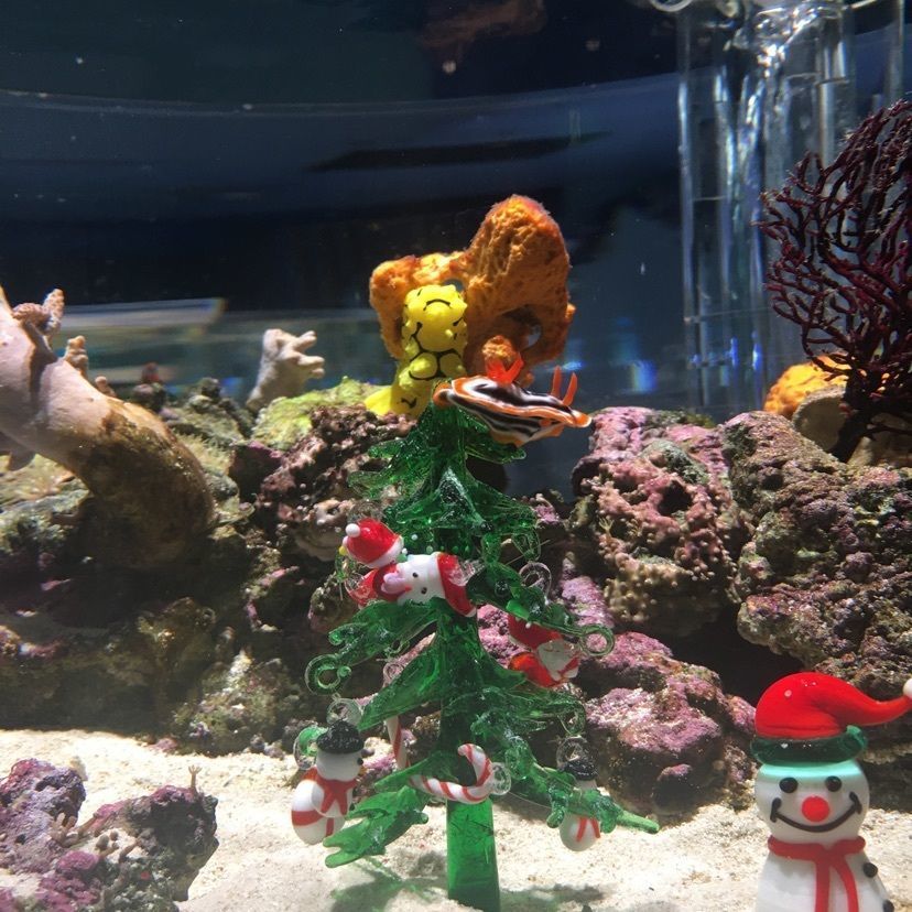 横浜・八景島シーパラダイスアクアミュージアム