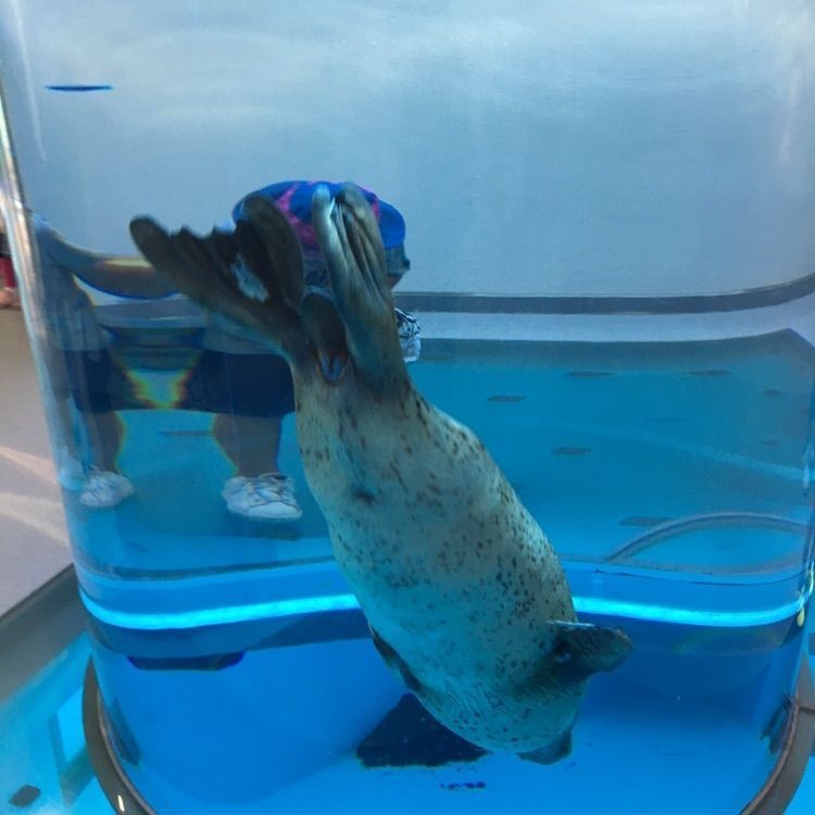 静岡市立日本平動物園