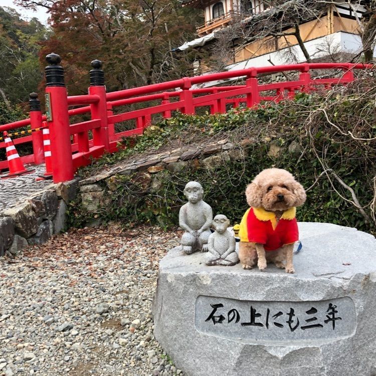 箕面山瀧安寺