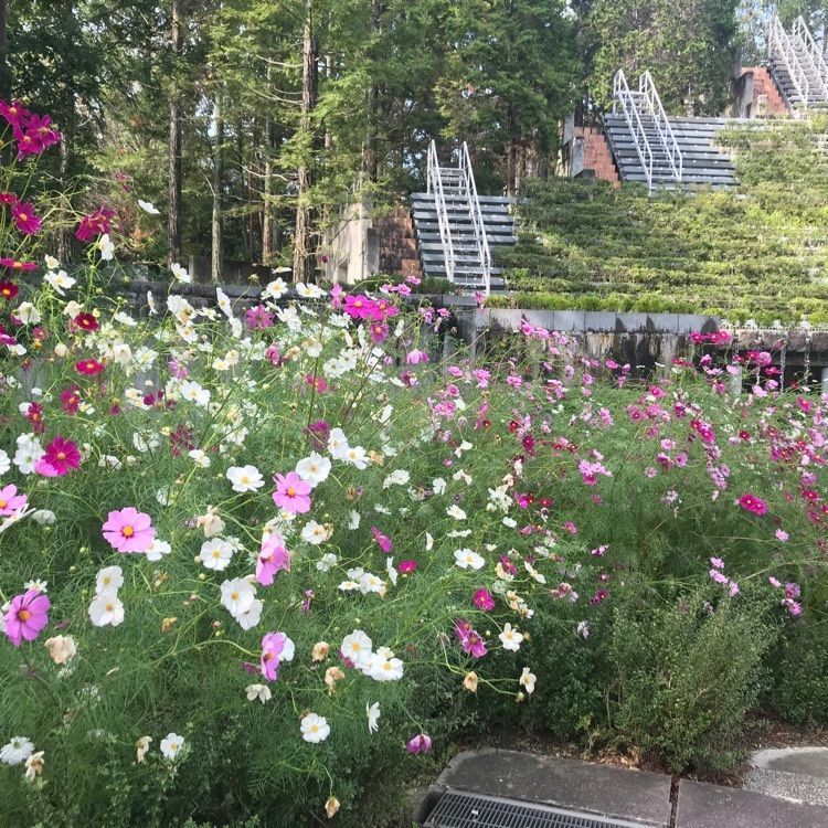 宇治市植物公園