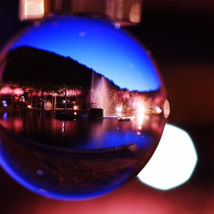 白井大町藤公園