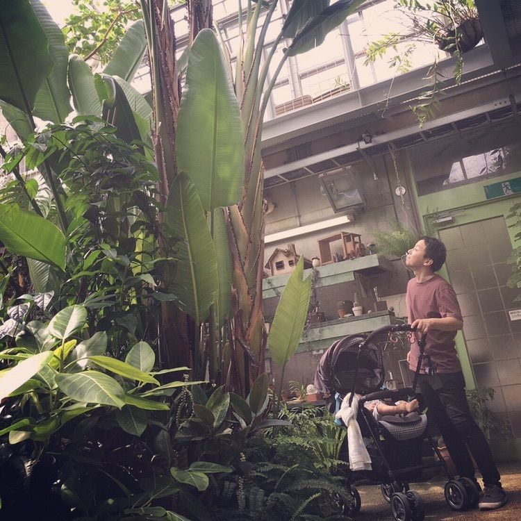 西宮市北山緑化植物園