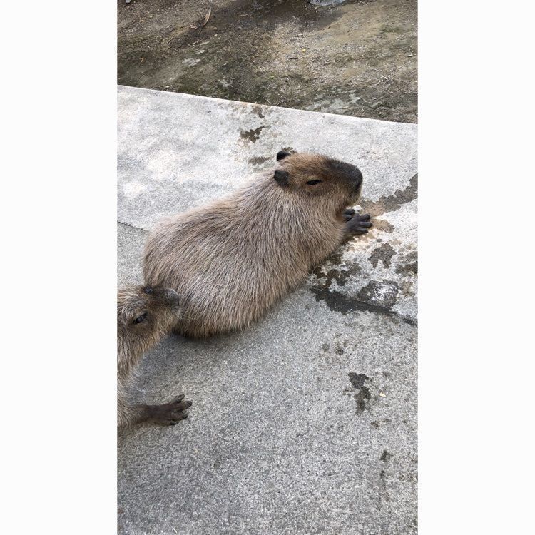 長崎バイオパーク