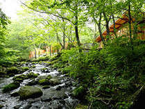 ゆと森倶楽部‐宮城蔵王の森林温泉リゾート