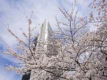 ANAインターコンチネンタルホテル東京 by IHG