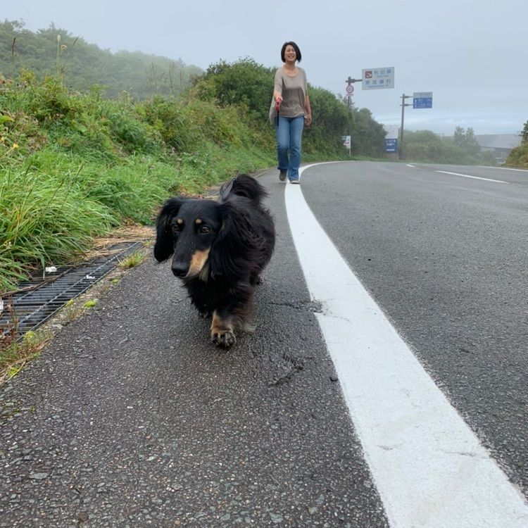 須川温泉(栗駒山荘)