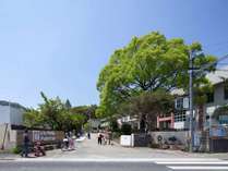 いいかねＰａｌｅｔｔｅ