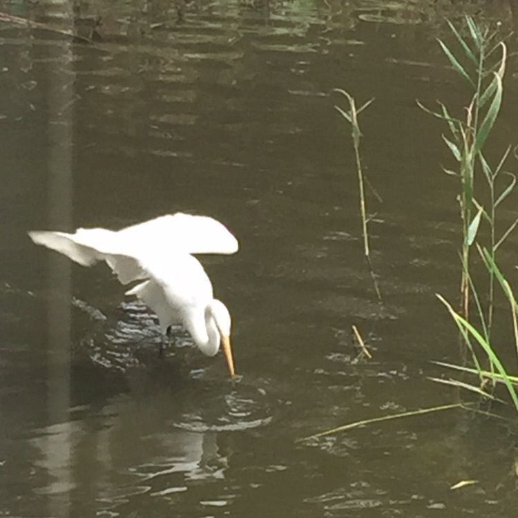 谷津干潟自然観察センター