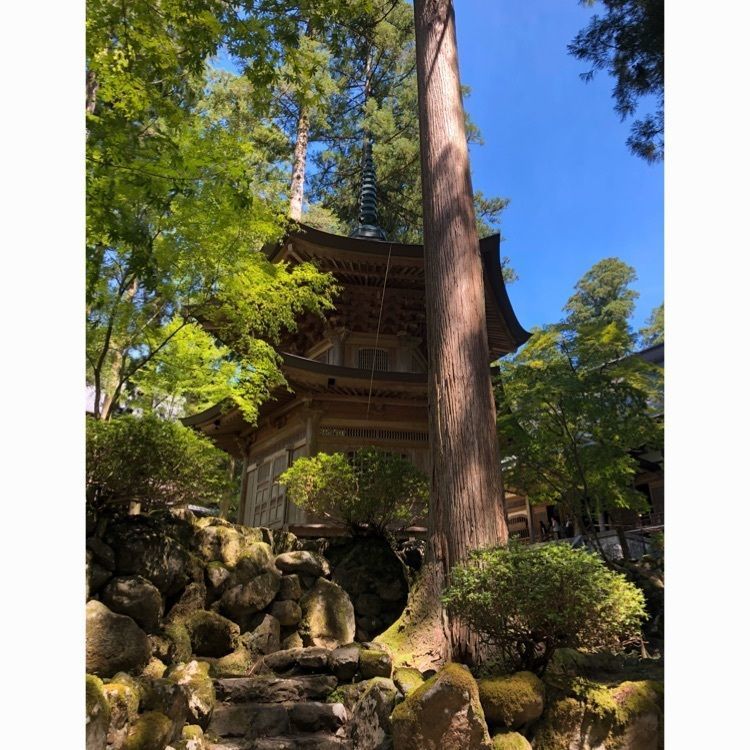 曹洞宗大本山永平寺