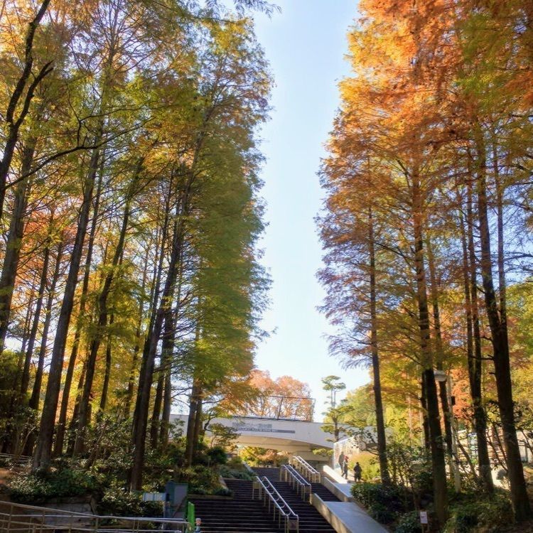 愛媛県立とべ動物園