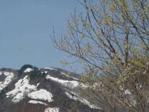 いろりと源泉の宿　湯宿　元河原湯