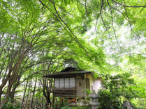 赤目四十八滝の湯宿　湯元赤目山水園