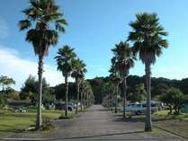 まぜのおか　オートキャンプ場