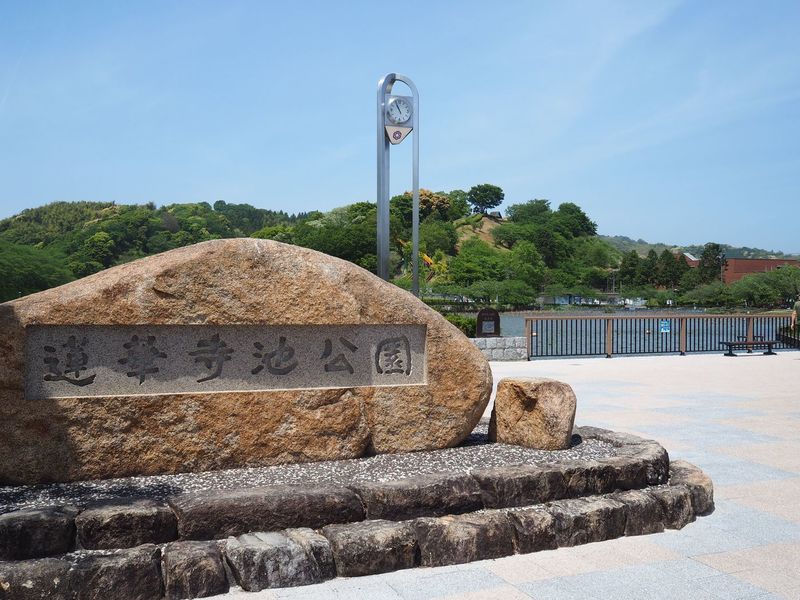 蓮華寺池公園