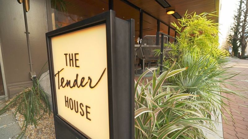 ザ テンダーハウス
