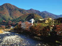 人気の貸切風呂と炭火山里料理の宿　辰巳館