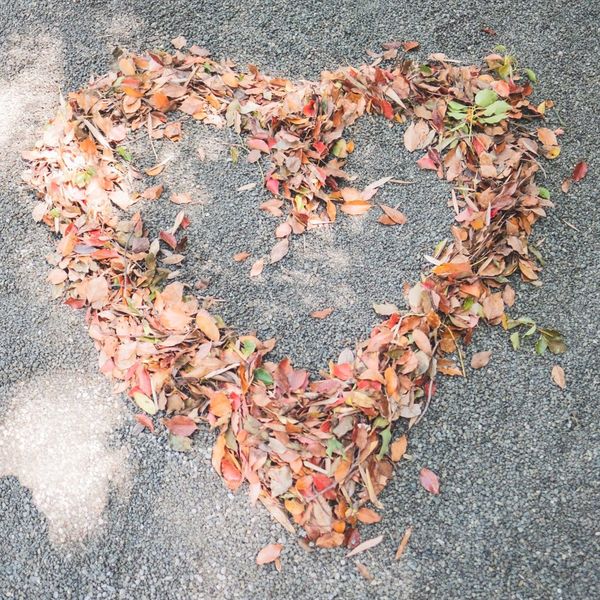 來宮神社（来宮神社）