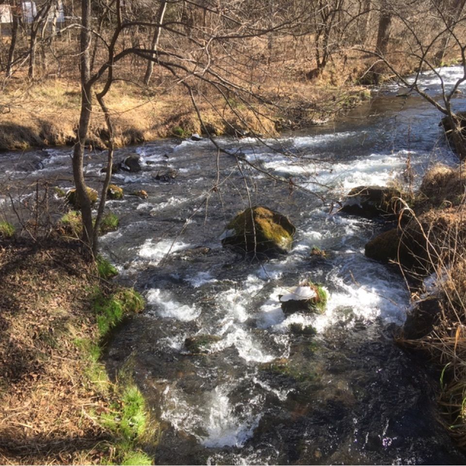 せきれい橋 川上庵
