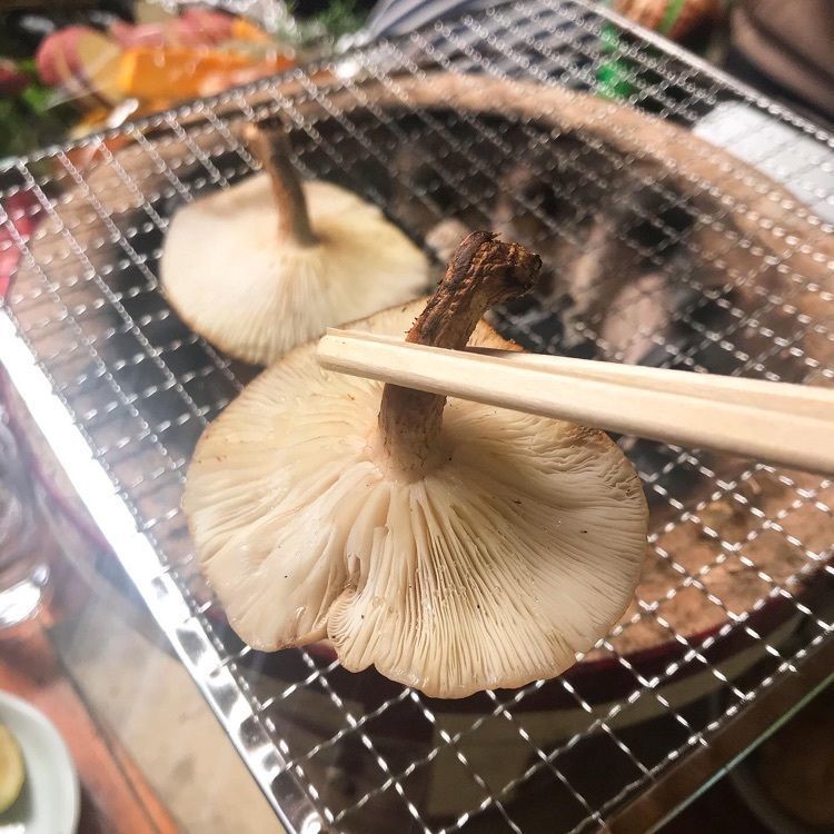 しい茸ランド　かさや