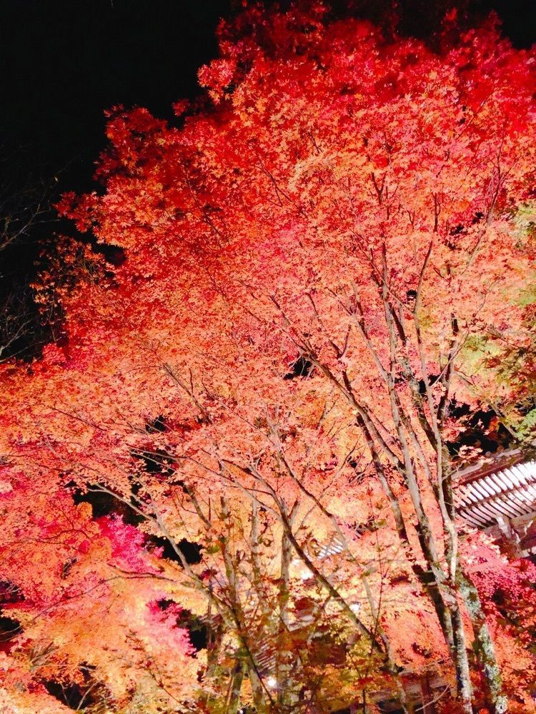 御嶽山播州清水寺