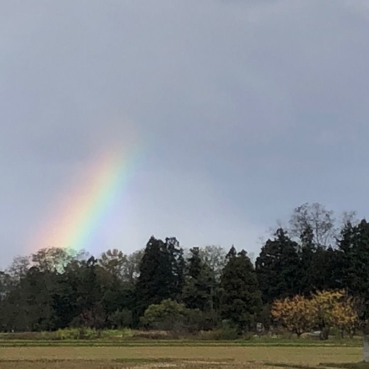 れすとらん　山の風