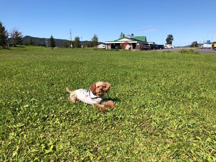 道の駅 なかがわ