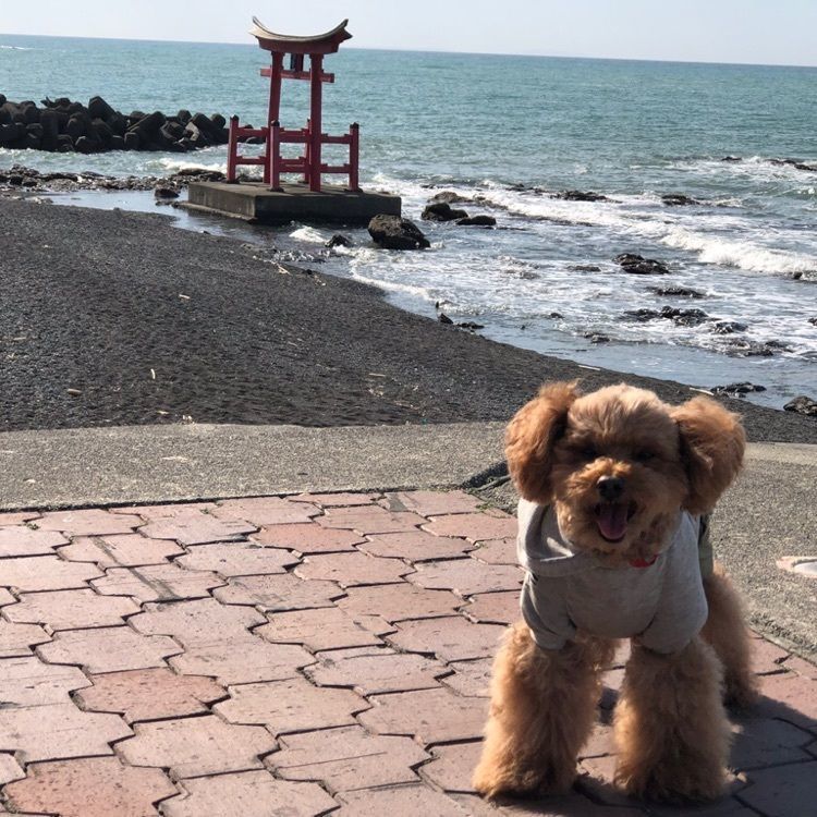 しょさんべつ温泉　岬の湯