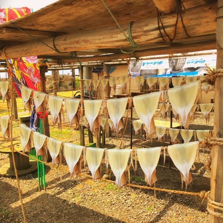 焼きイカ通り「イカのカーテン」