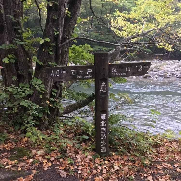 赤神神社五社堂