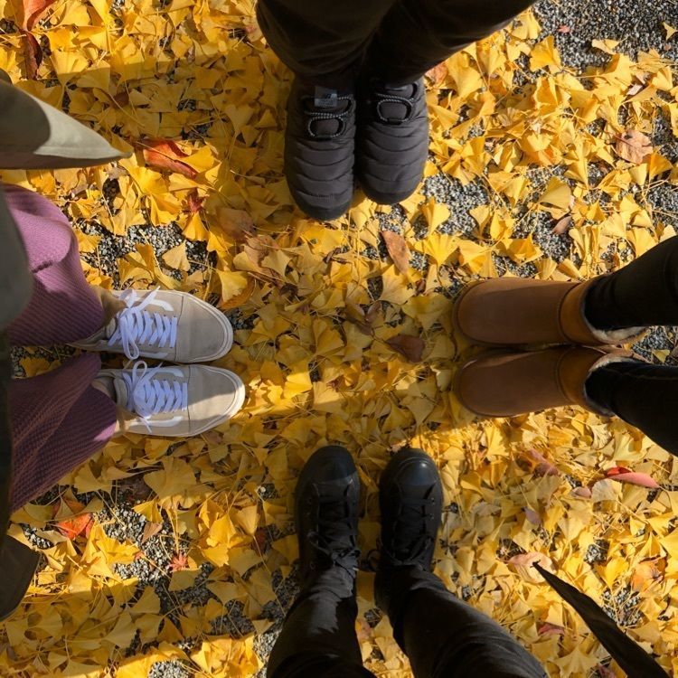 鶴ヶ城（若松城）