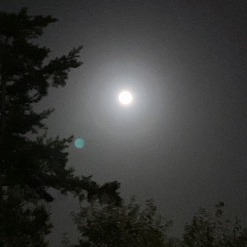 糸桜里の湯ばんげ