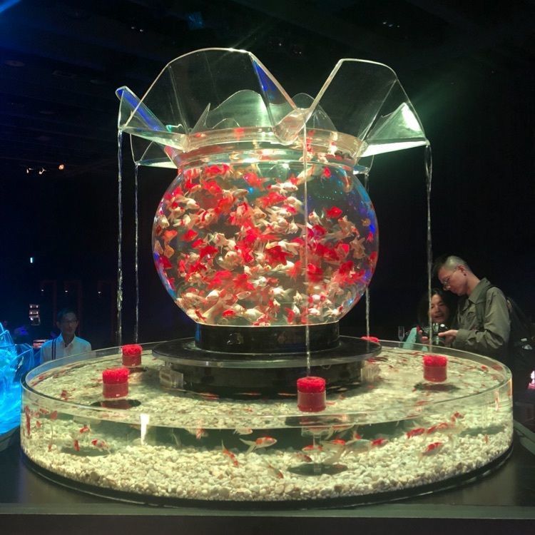 日本橋（東京都中央区）