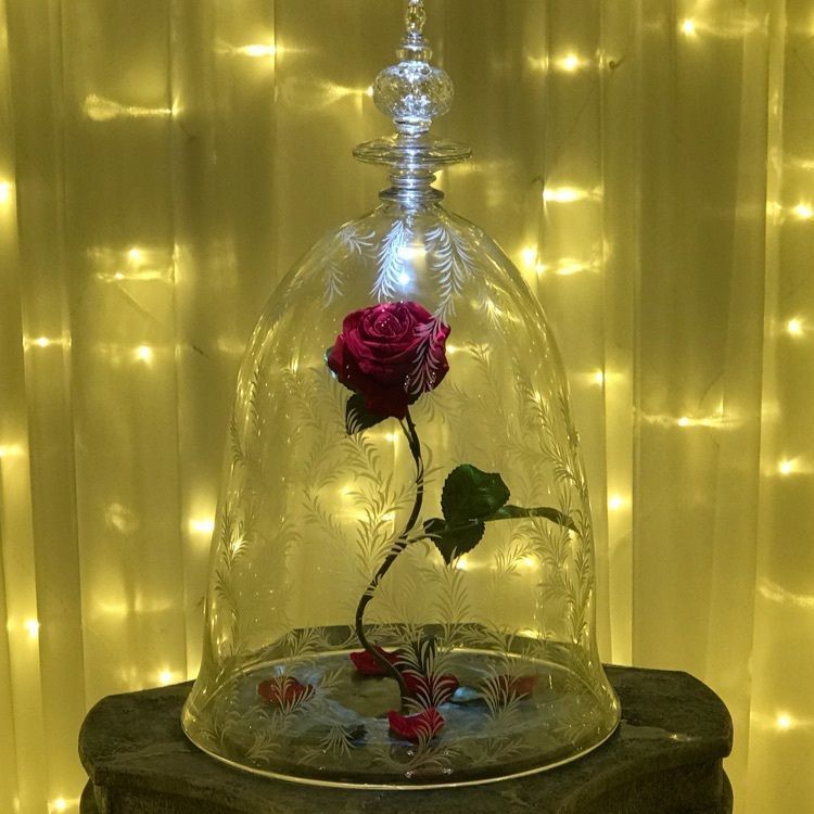 カレッタ汐留46階展望スペース