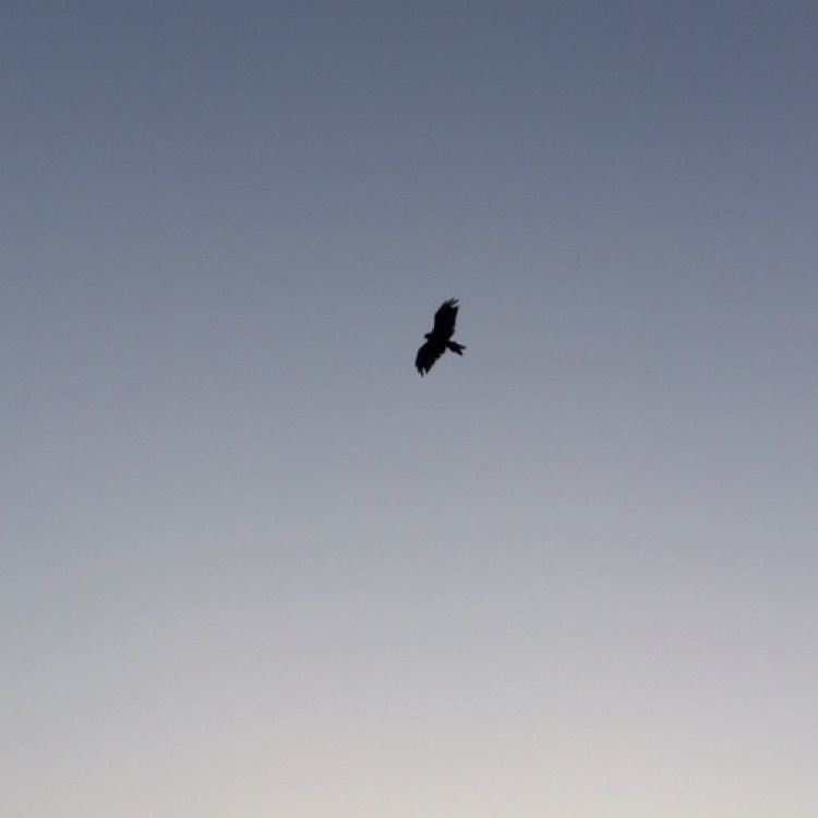 江の島展望灯台