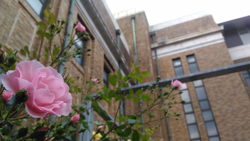 国立科学博物館