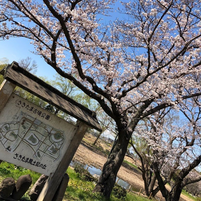さきたま古墳公園