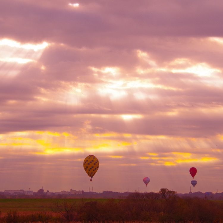 渡良瀬遊水地（埼玉県加須市）