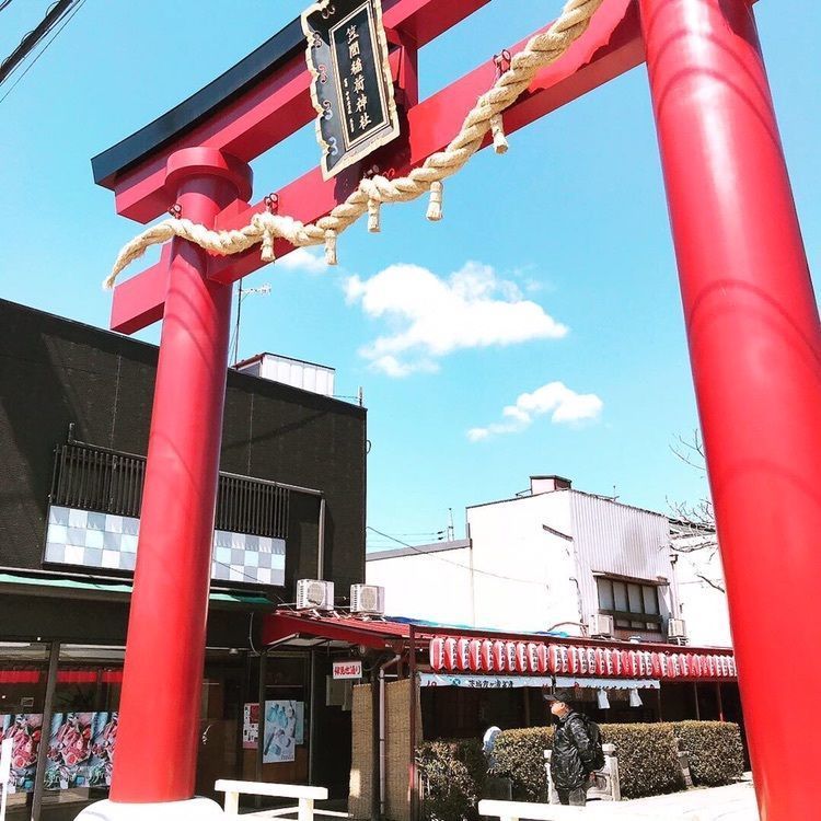 笠間稲荷神社の菊