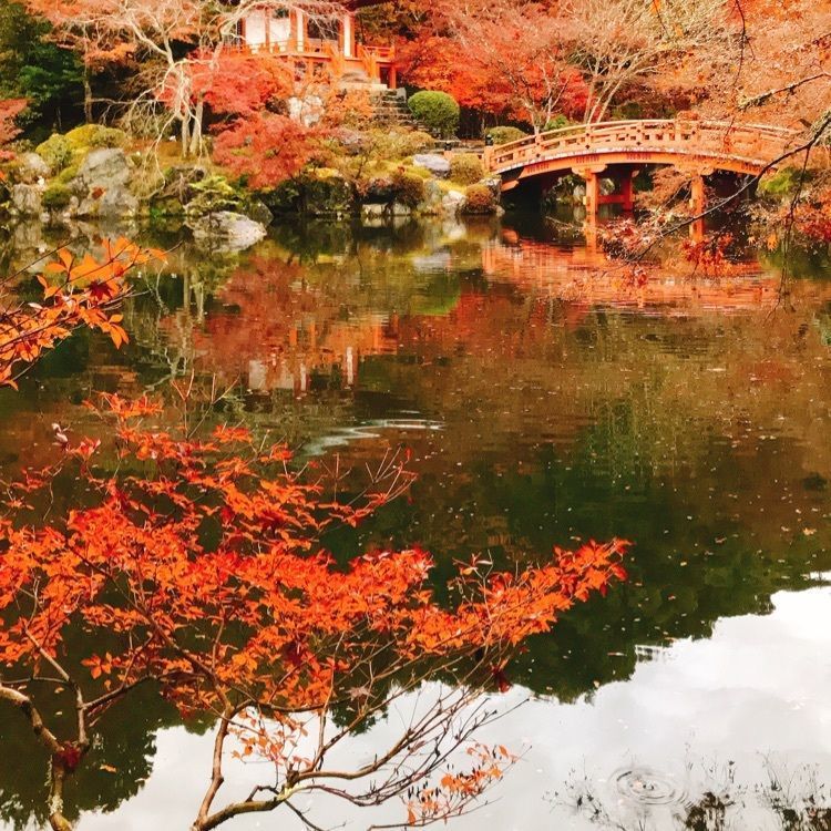 醍醐寺(京都市伏見)
