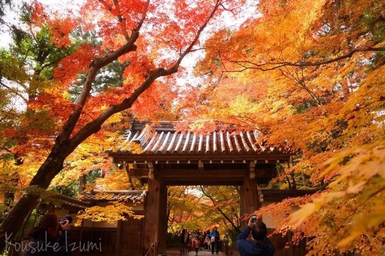 西山浄土宗総本山光明寺