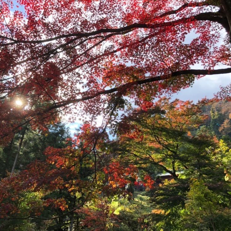 妙義山（群馬県富岡市）