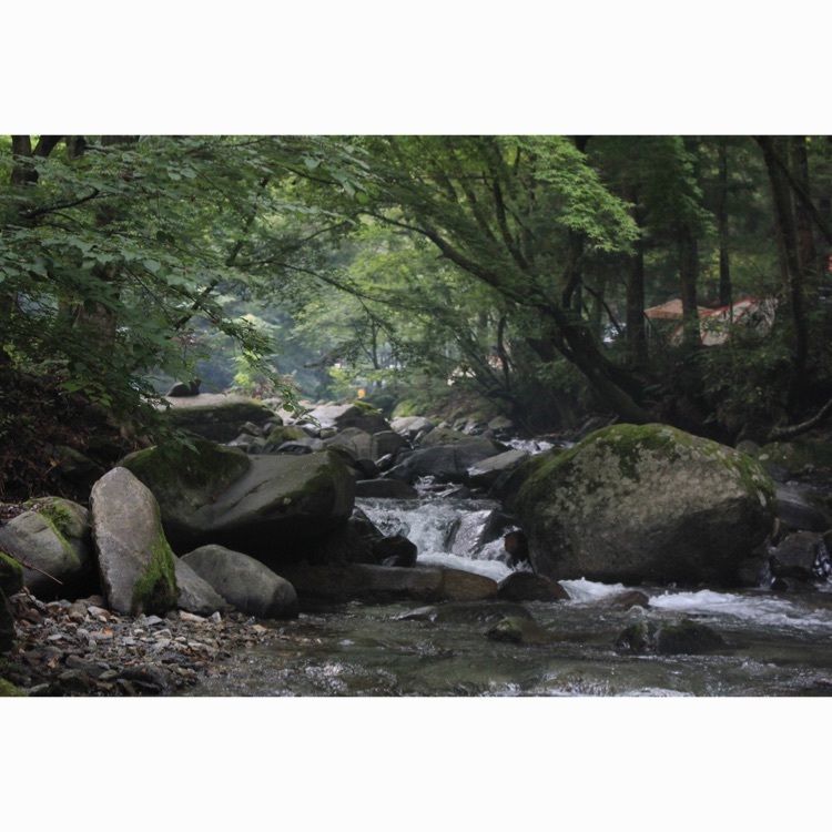 道志の森キャンプ場