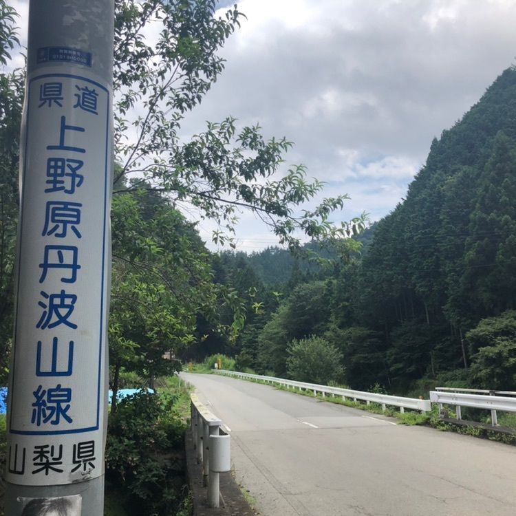 一宮神社の社叢
