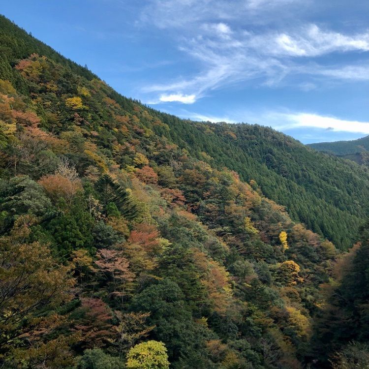 高野山　金剛峯寺