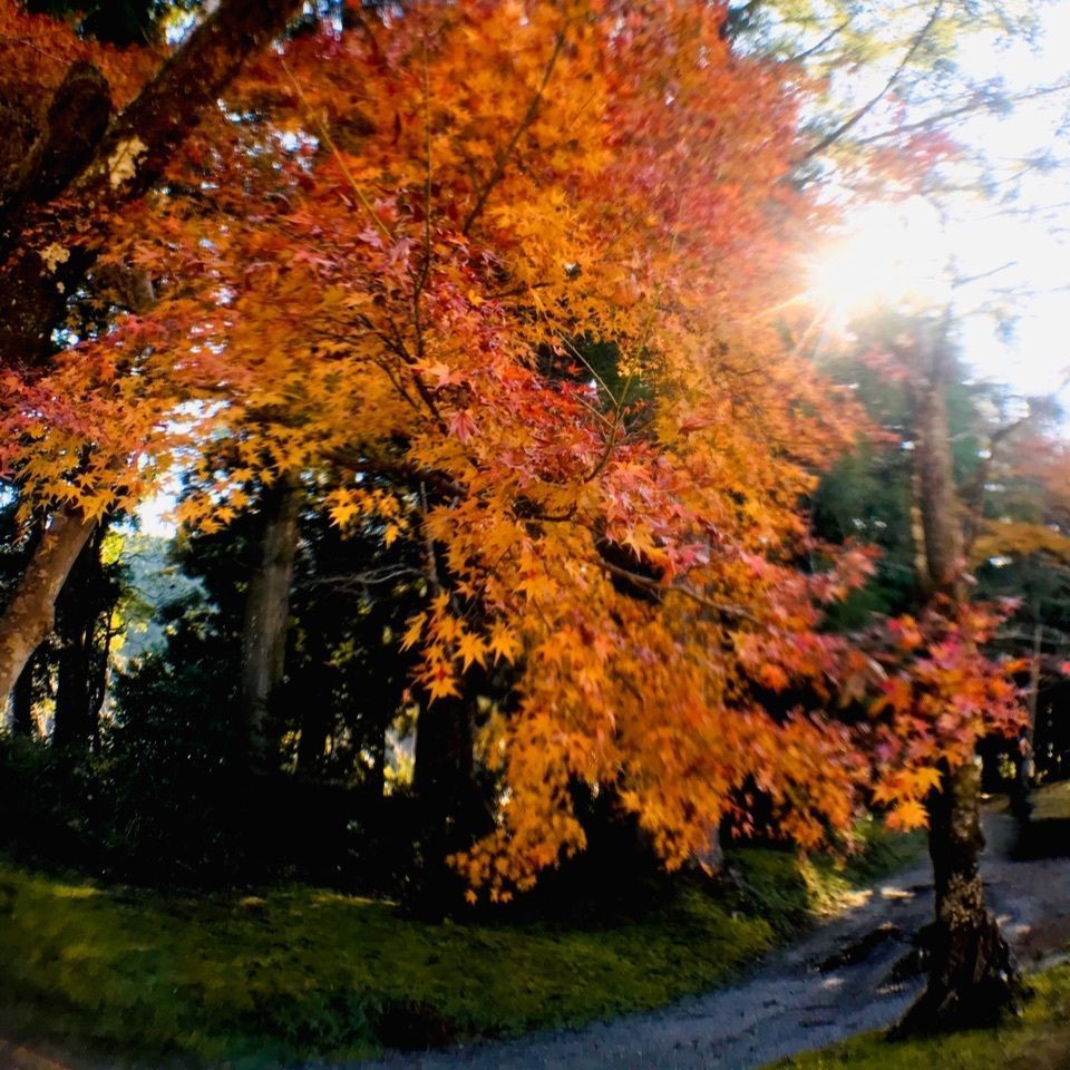 熊野本宮大社旧社地大斎原