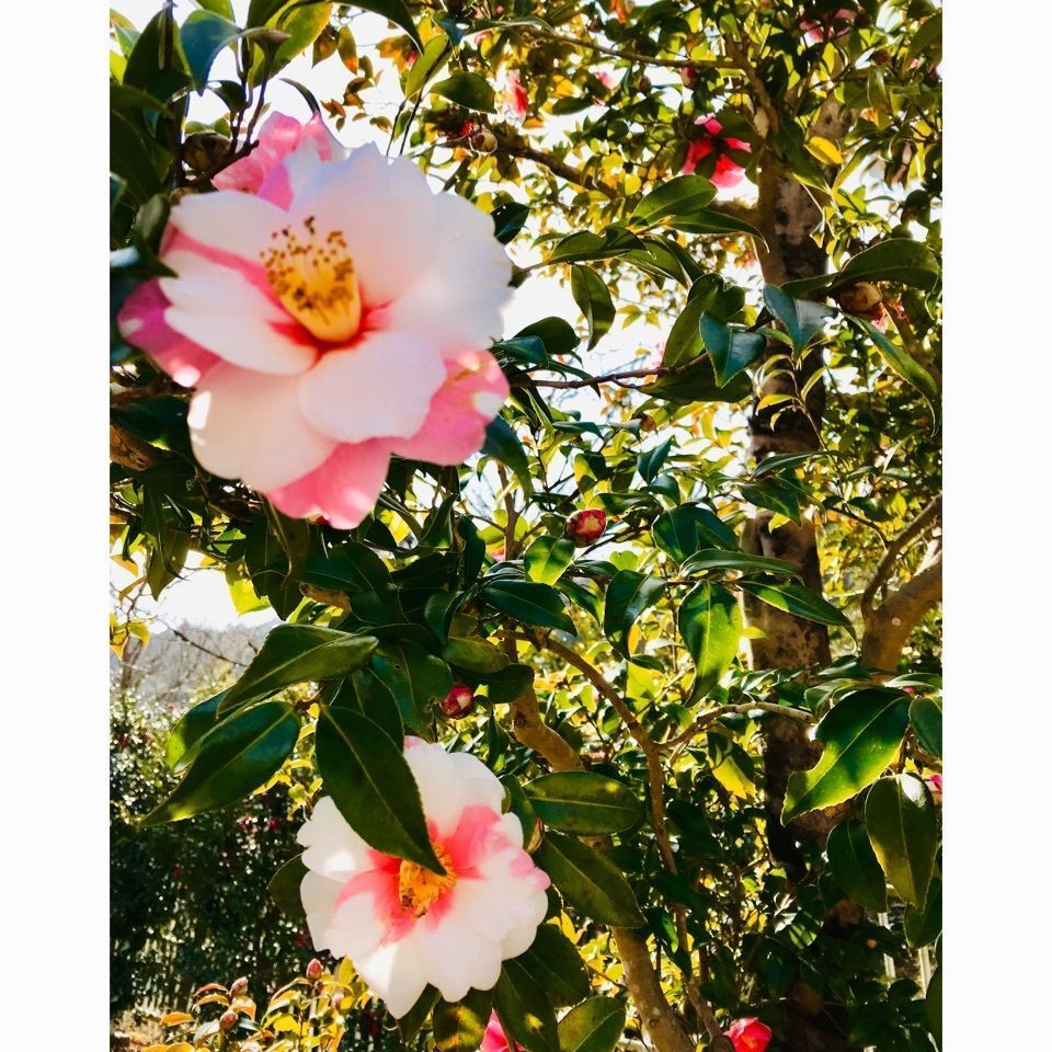 高田グリーンランド 雲取温泉