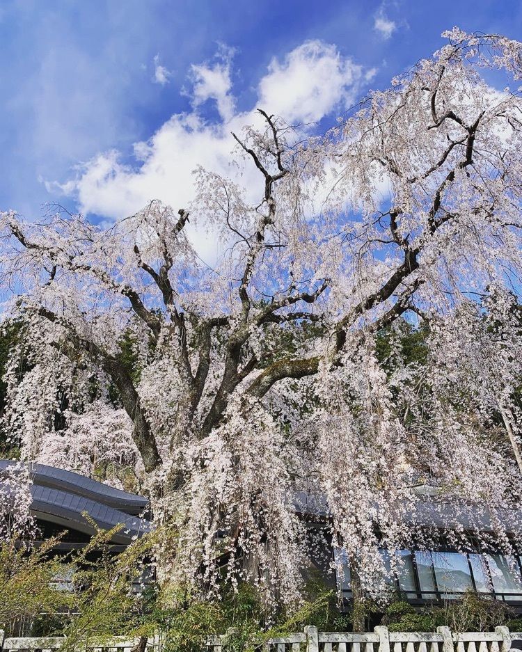 久遠寺水鳴楼前庭