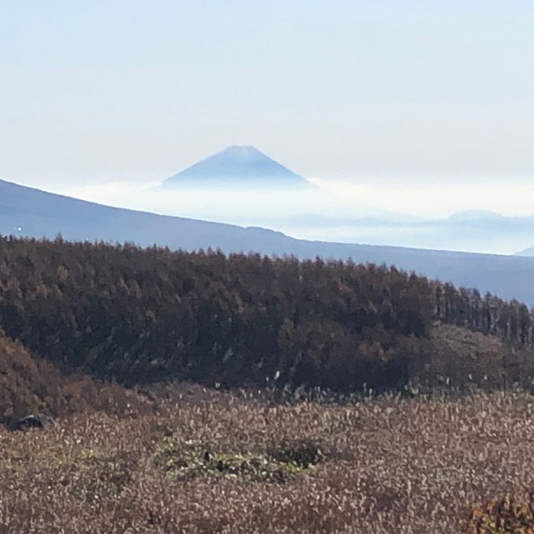 ビーナスライン