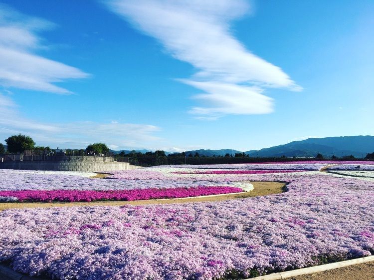 松本平広域公園 信州スカイパーク 松本 美ヶ原 上高地 その他 Aumo アウモ